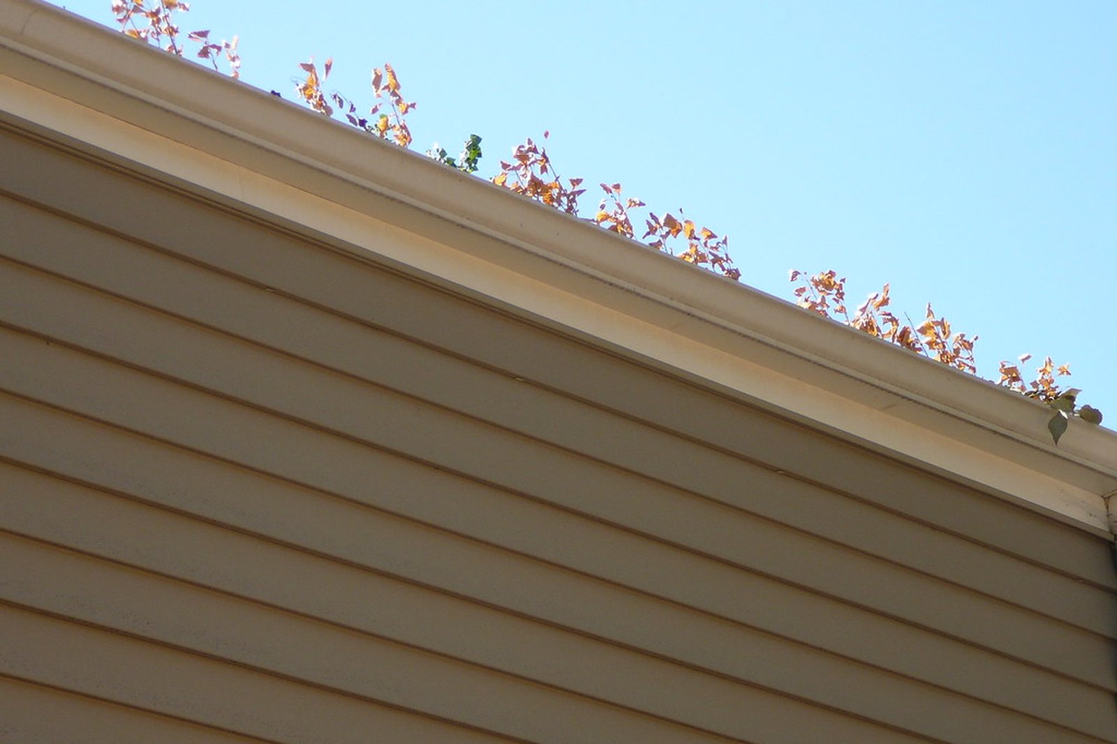 Worn asphalt shingles with missing granules on a roof